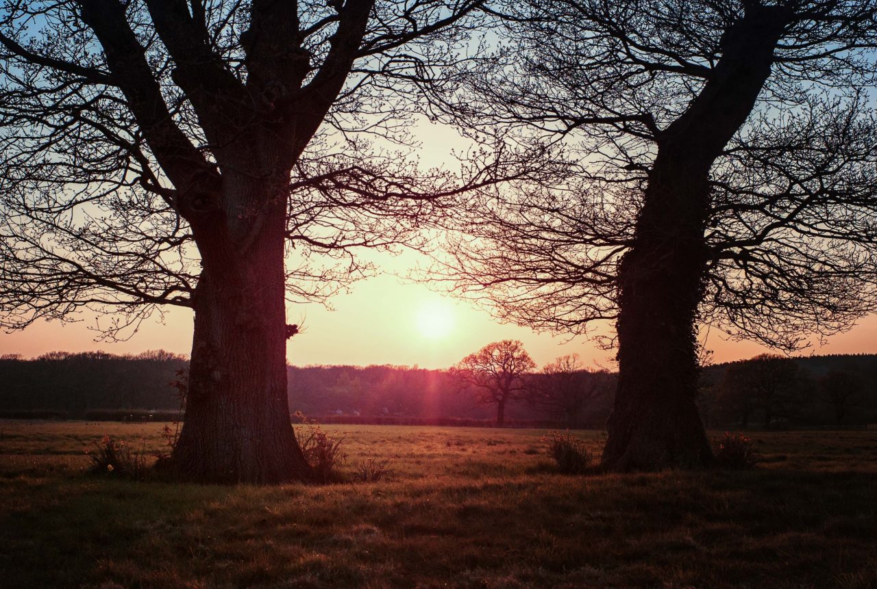 sunset.jpg