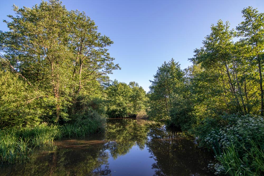 Water 42Acres-Somerset.jpg