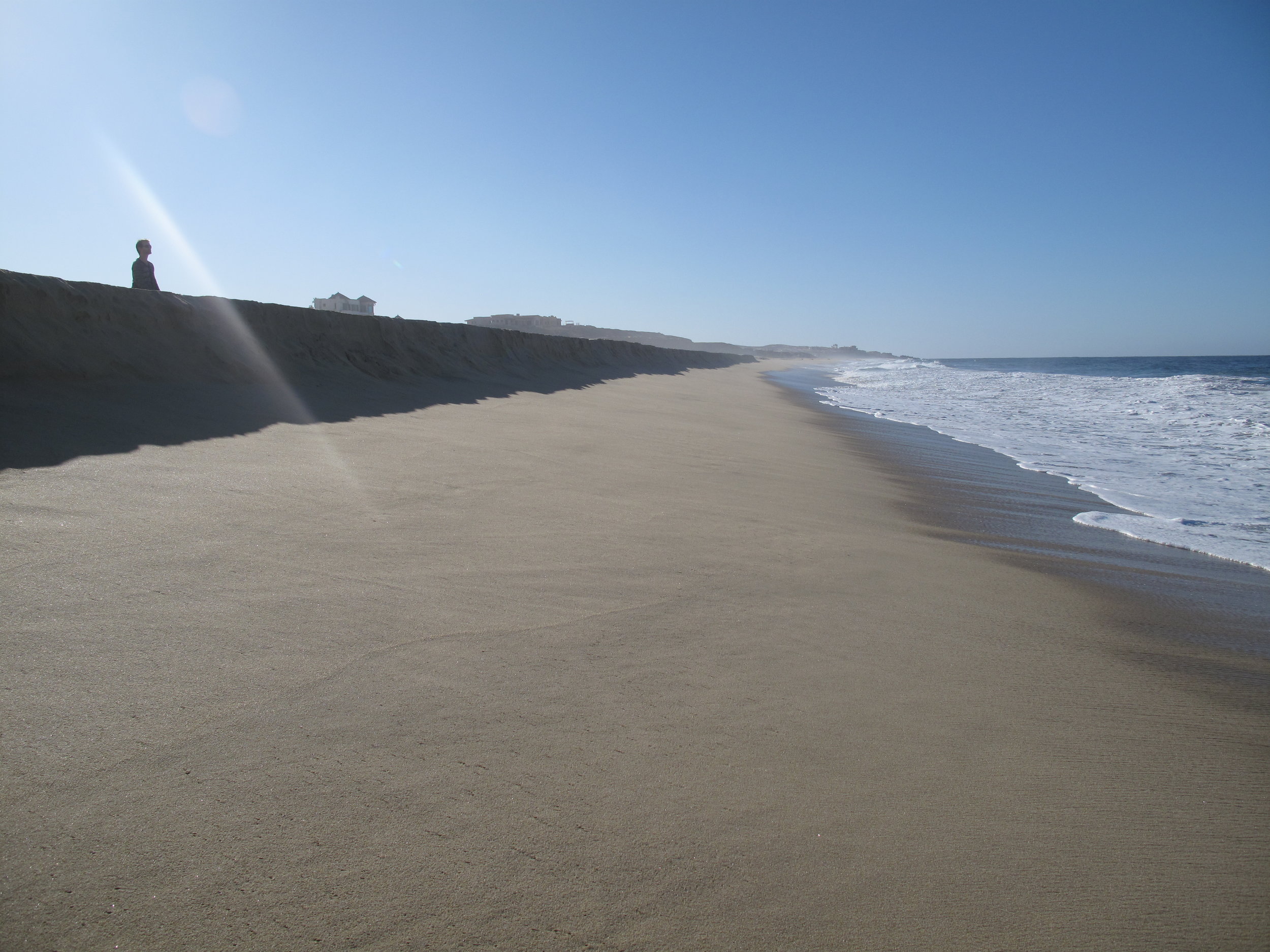 Luxury yoga retreat and whale-watching Baja, Mexico