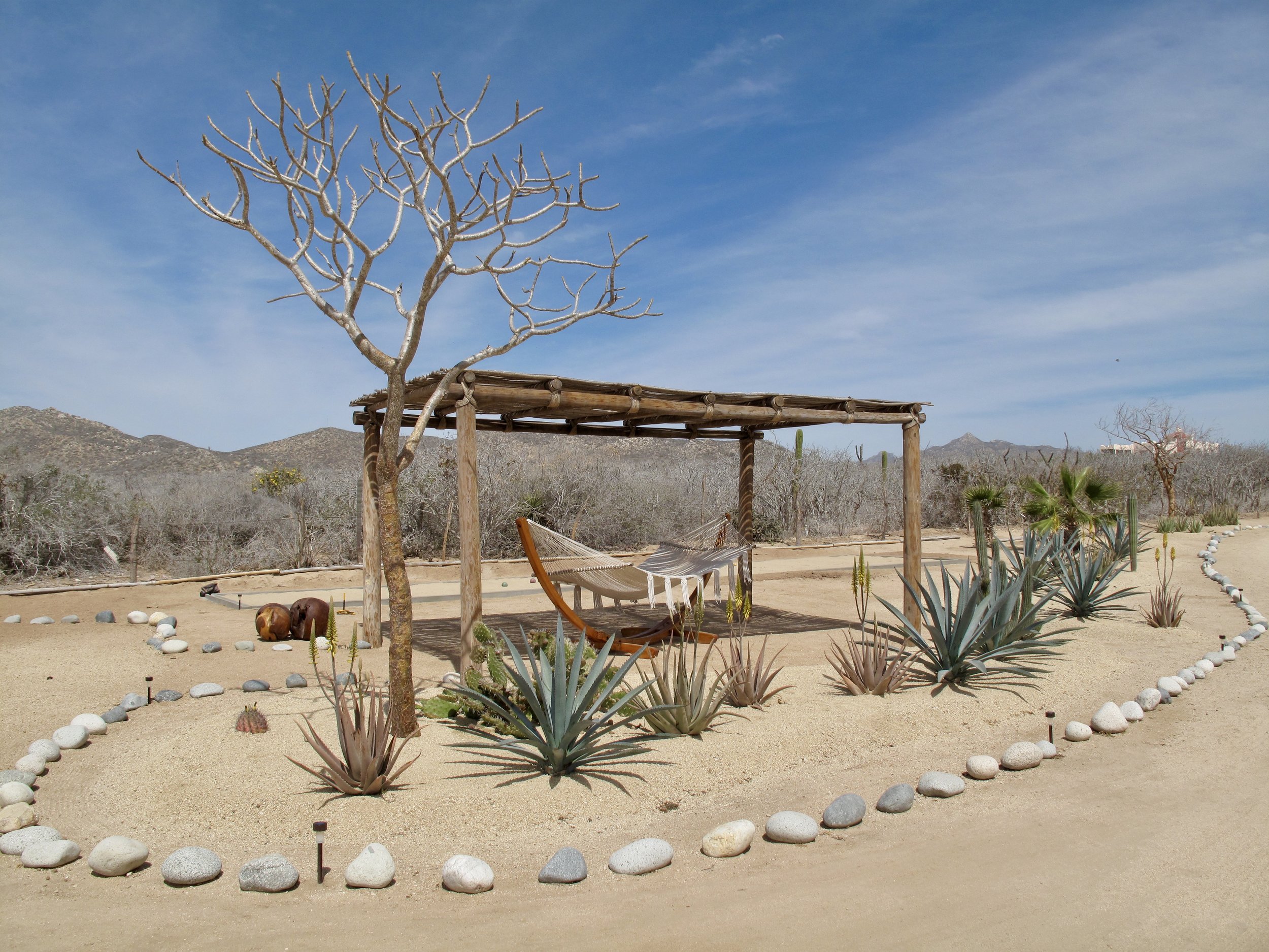 Luxury yoga retreat and whale-watching Baja, Mexico
