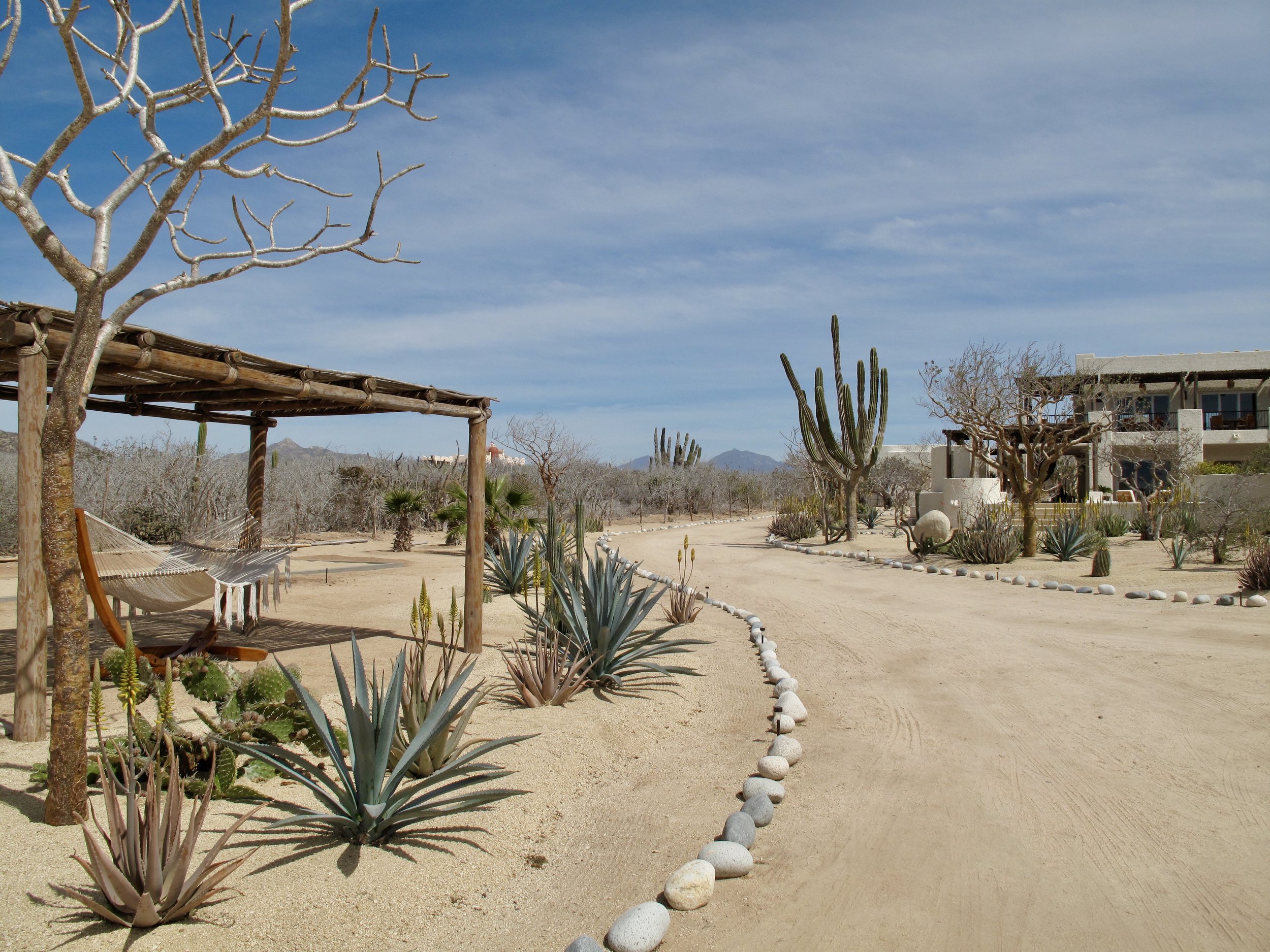Luxury yoga retreat and whale-watching Baja, Mexico