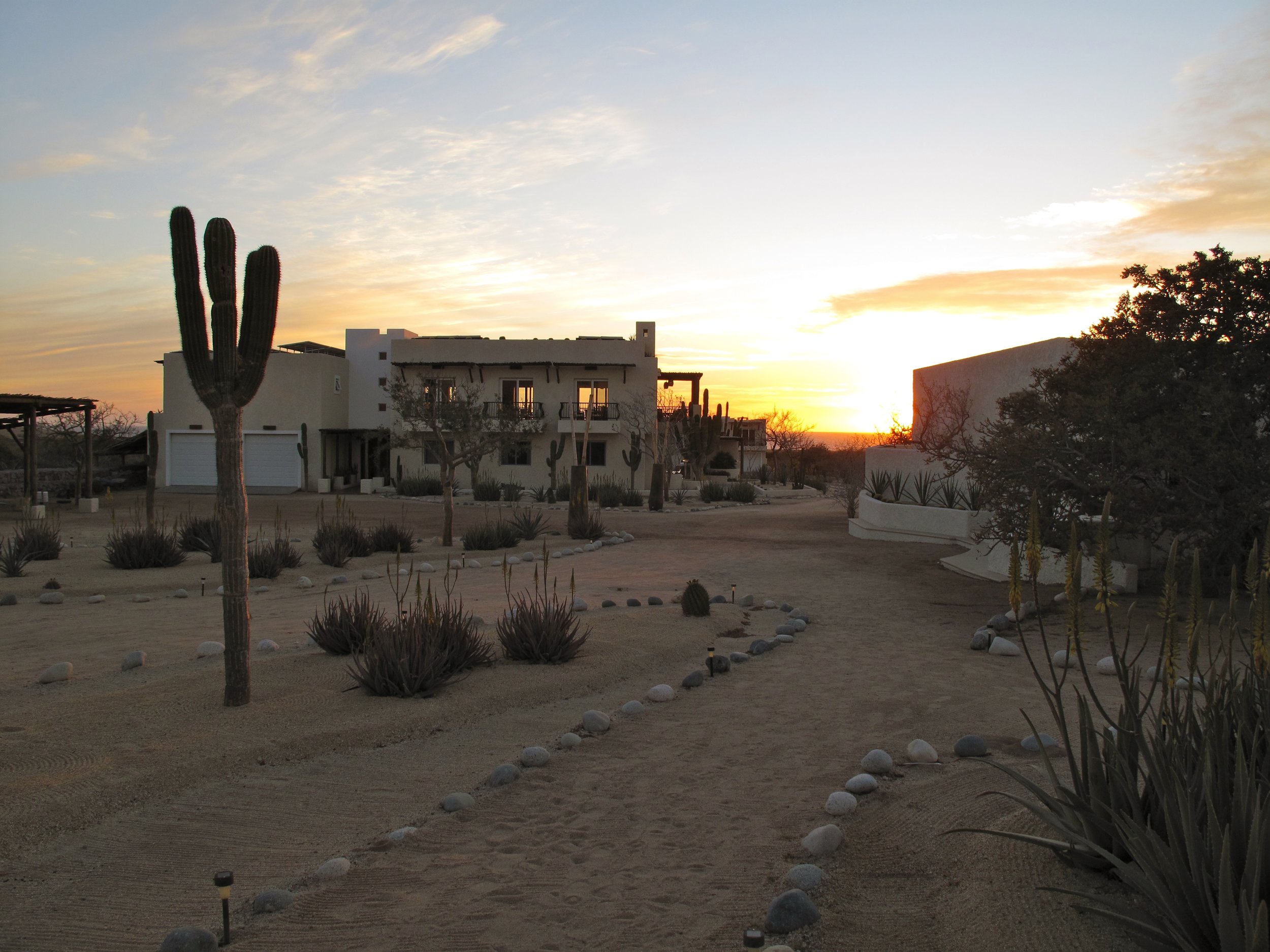 Luxury yoga retreat and whale-watching Baja, Mexico