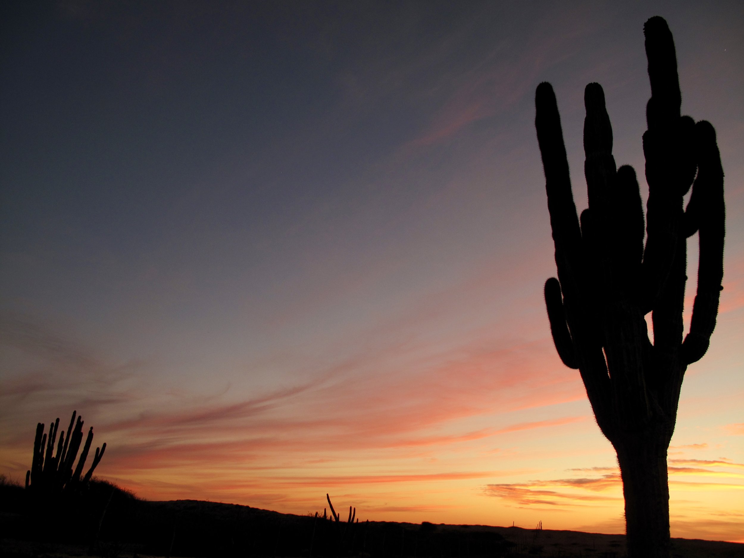 Luxury yoga retreat and whale-watching Baja, Mexico