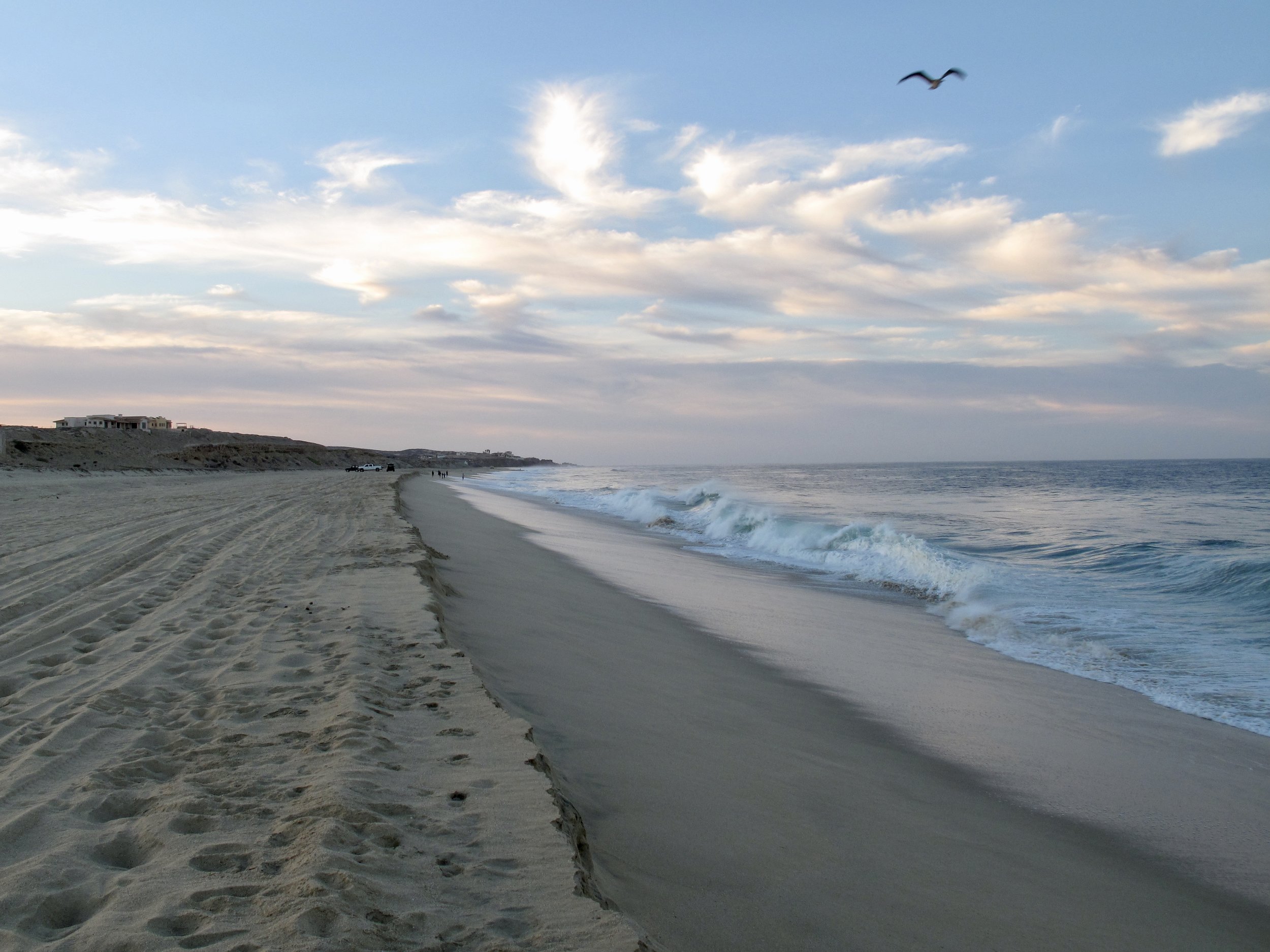Luxury yoga retreat and whale-watching Baja, Mexico