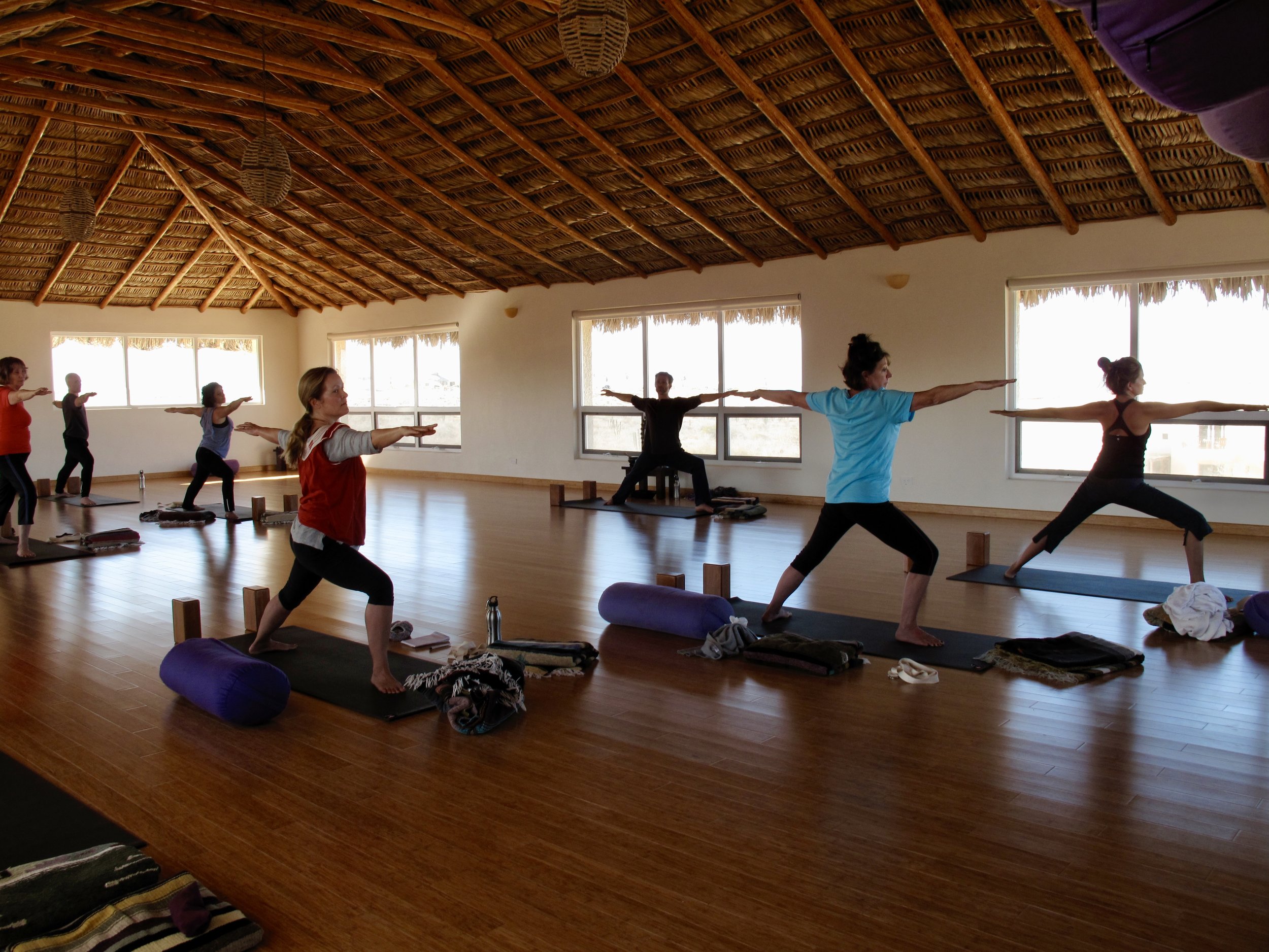 Luxury yoga retreat and whale-watching Baja, Mexico