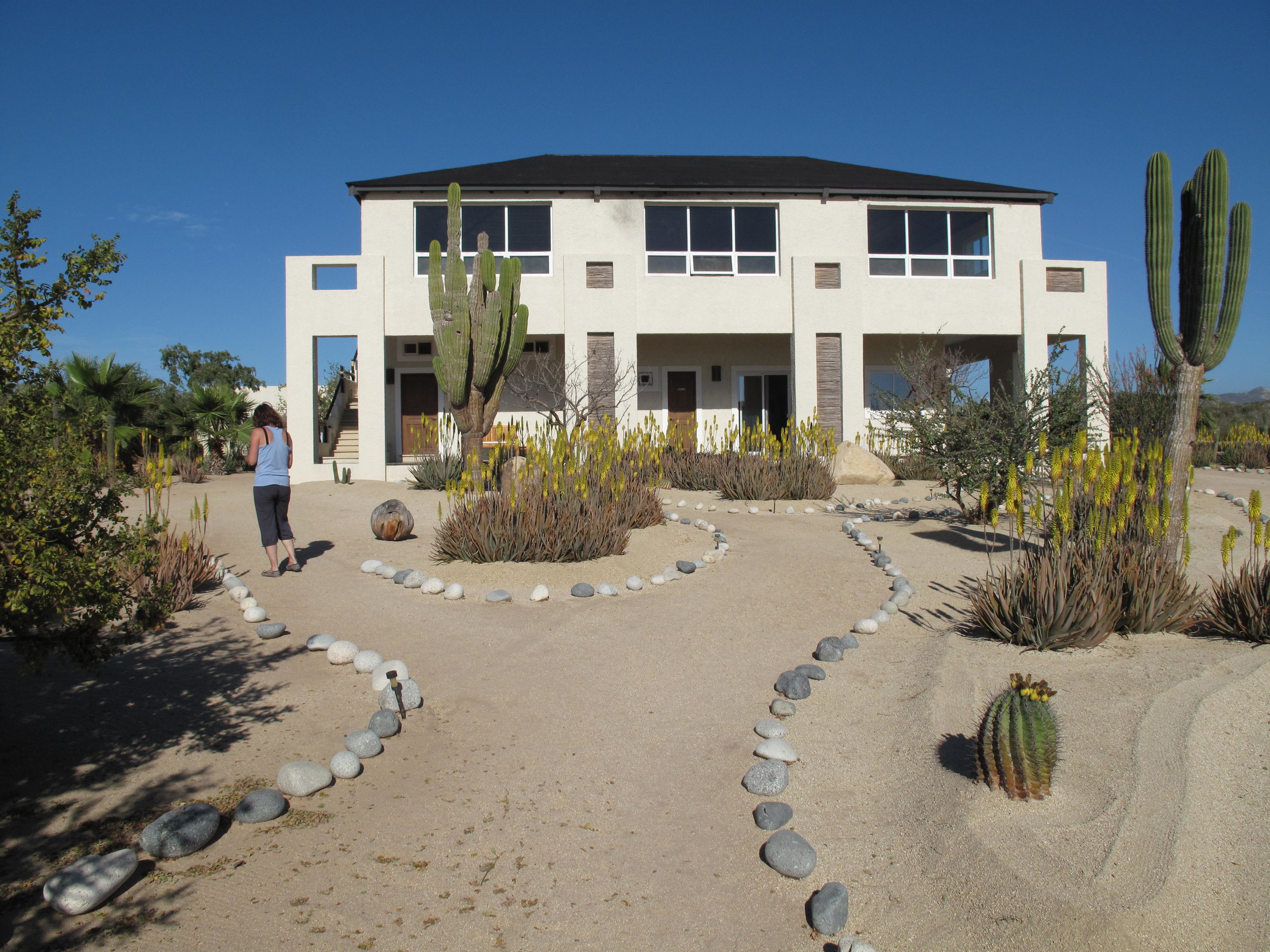 Luxury yoga retreat and whale-watching Baja, Mexico