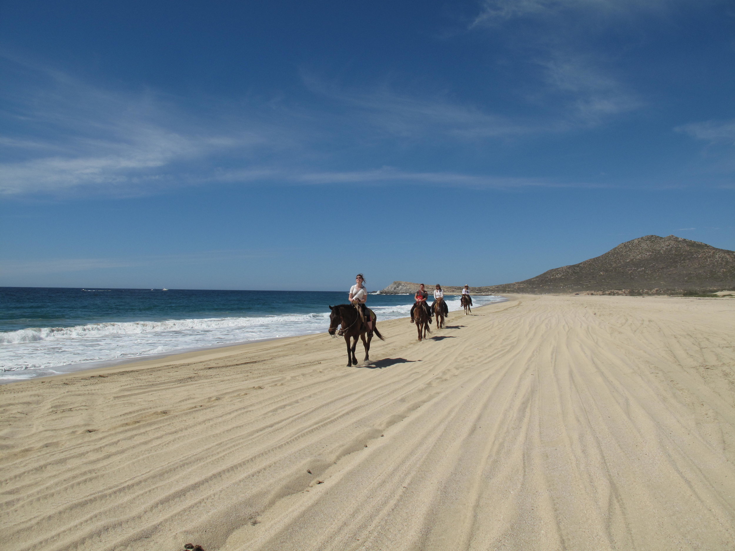 Luxury yoga retreat and whale-watching Baja, Mexico