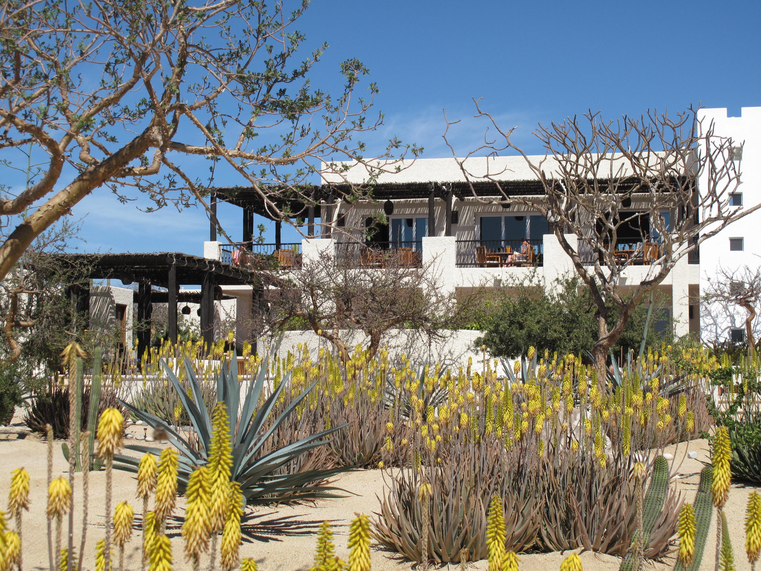 Luxury yoga retreat and whale-watching Baja, Mexico