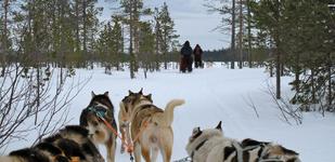 Lapland 2012