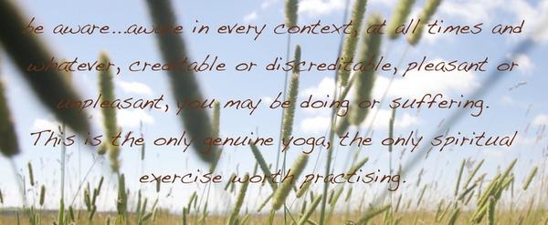Yoga Quote
