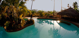 Goa 2010