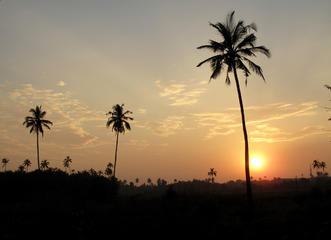 Yoga retreat Goa