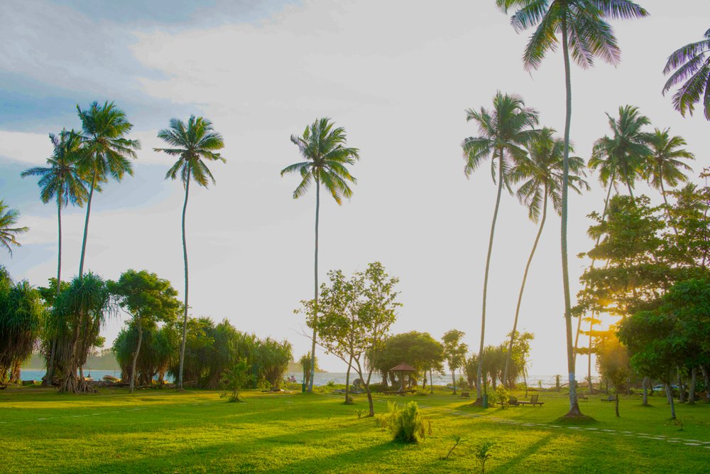 Talalla_Retreat_Sri_Lanka0158.jpg